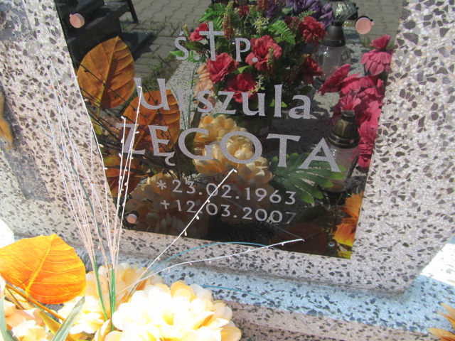 Edyta Werner 1939 Mrągowo - Grobonet - Wyszukiwarka osób pochowanych