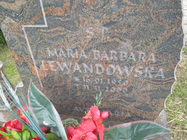 Maria Barbara Lewandowska  1950 Mrągowo - Grobonet - Wyszukiwarka osób pochowanych