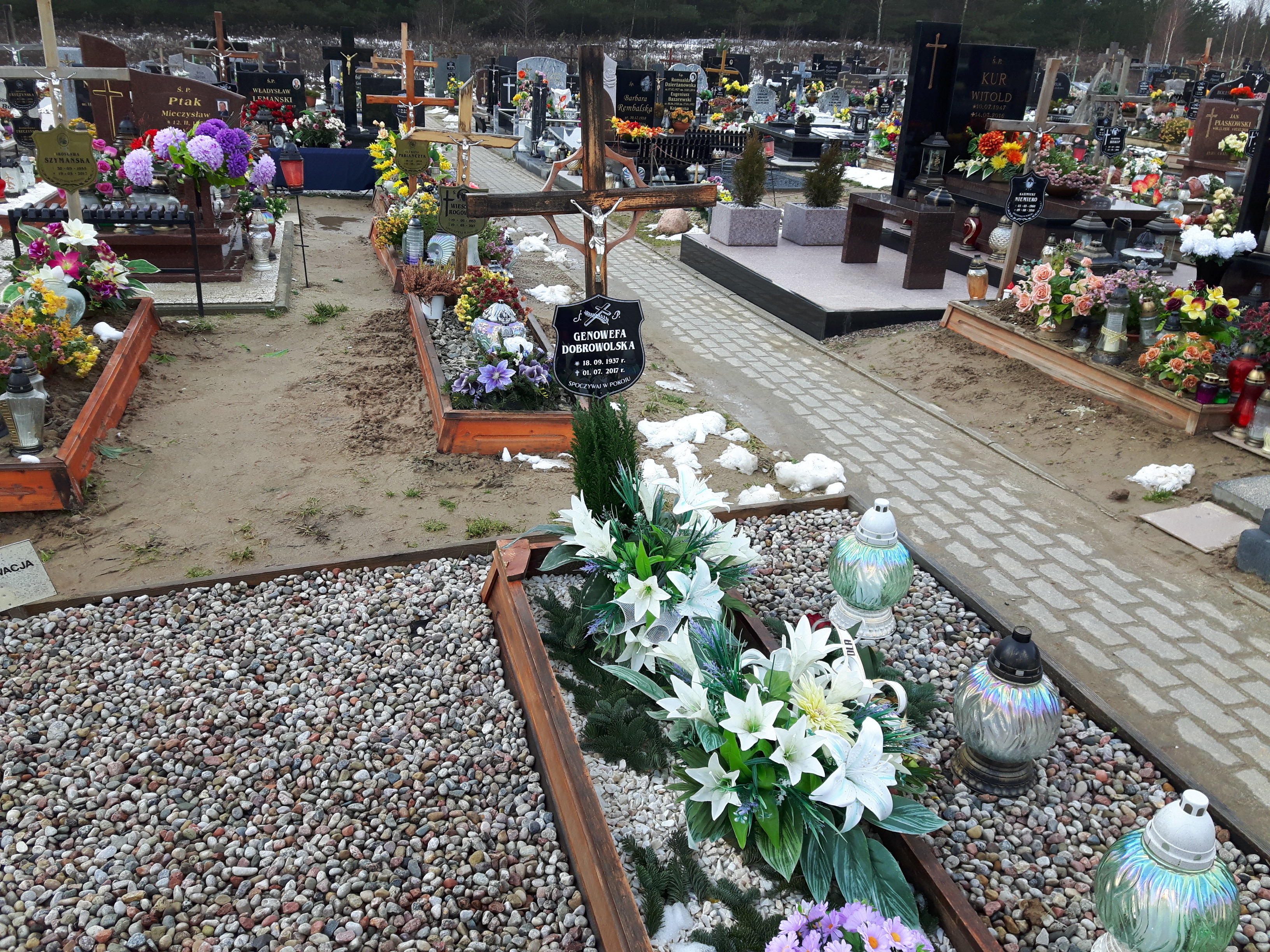 Grób Genowefa Dobrowolska