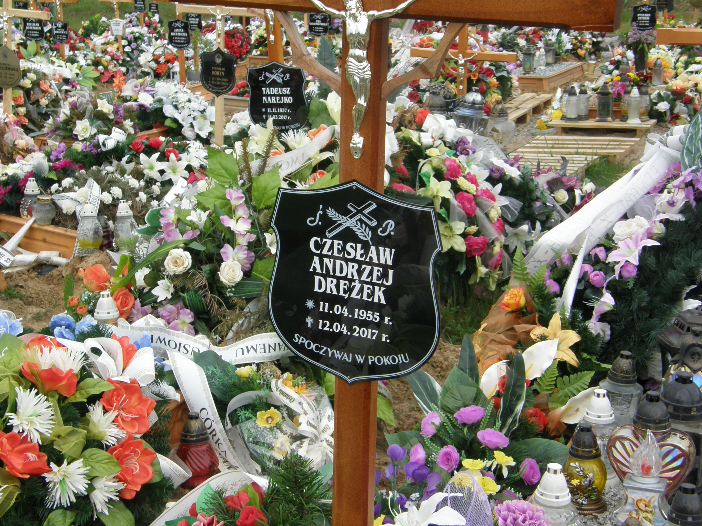 Czesław Drężek 1955 Mrągowo - Grobonet - Wyszukiwarka osób pochowanych